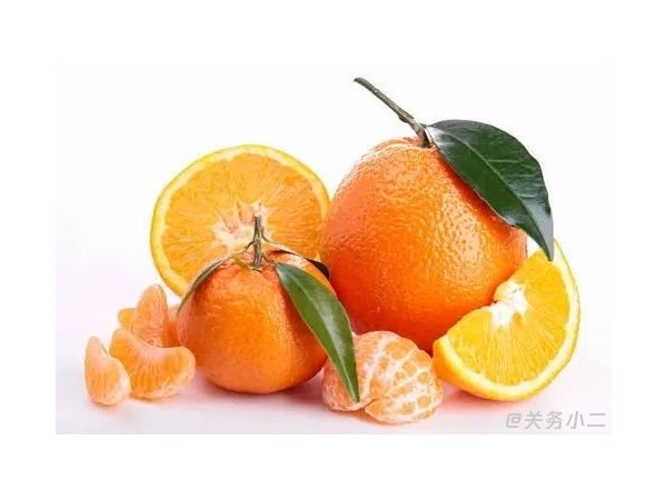柑橘類水果出口申報指南